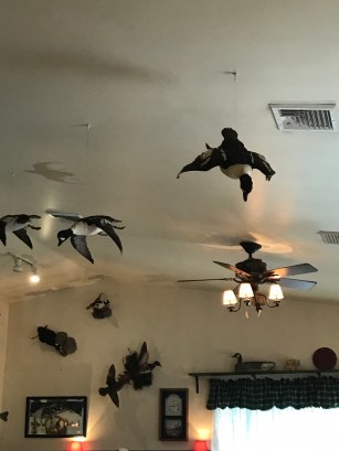 7294DB26-7D9C-4E4E-BF29-8544C8700E1D