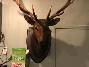 2944E88F-3A7F-4260-B2E4-17404B84665A